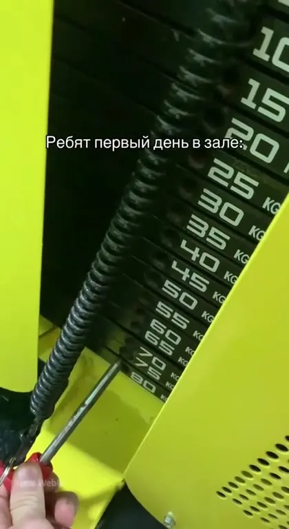 Первый день в зале
