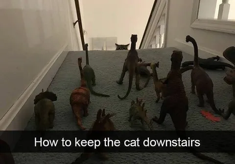 How to Keep the Cat Downstairs