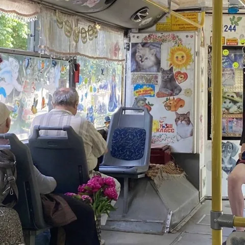 Бабушка в автобусе с цветами