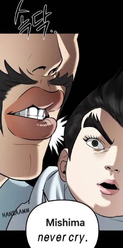 Mishima Never Cry
