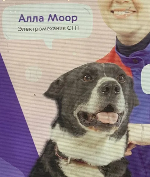 Алла Моор — электромеханик СТП