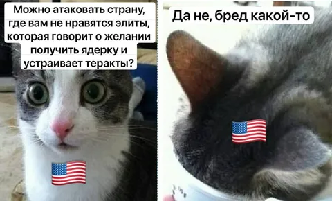 Кот оправдывает двойные стандарты