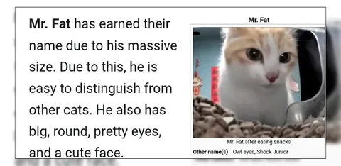 Mr. Fat the Snack-Loving Cat