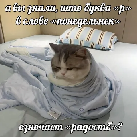Буква «р» в понедельнике