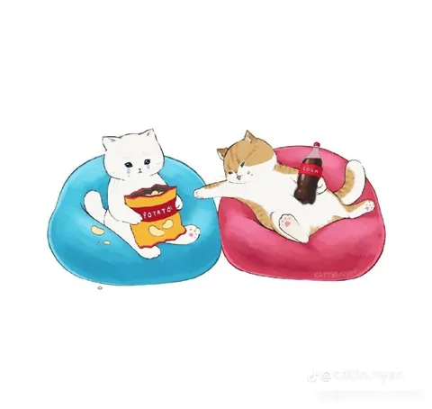 Cats on Pool Floats