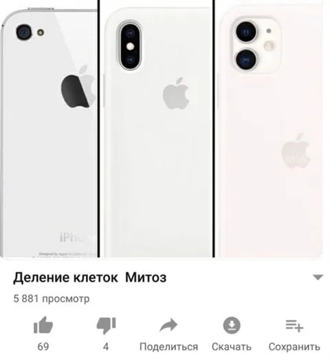 Деление клеток митозом на айфоны