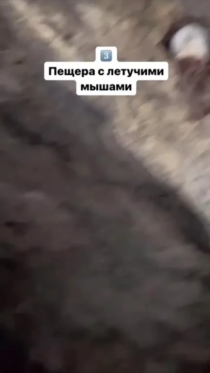Топ мест для первого свидания