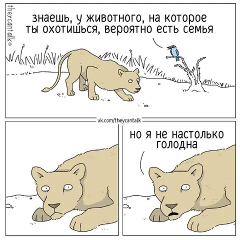 Голодная львица и семейная добыча