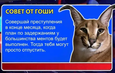 Совет от Гоши про преступления