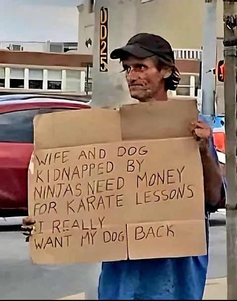Wife and Dog Kidnapped by Ninjas