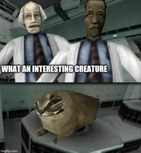 What an Interesting Creature