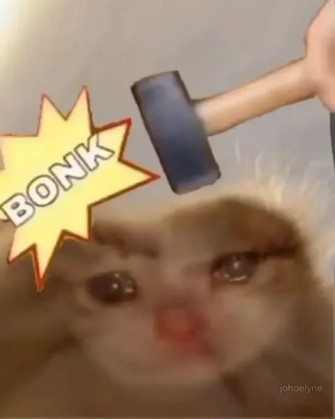 Bonk Cat What How