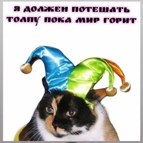 Кот шут горящего мира