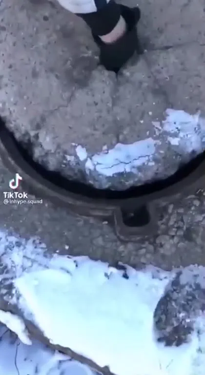 Черепашка провалилась в люк