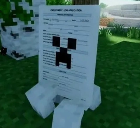 Minecraft Job Application