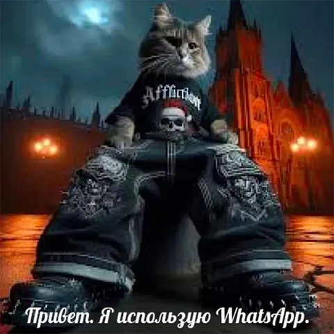 Кот на танке из WhatsApp