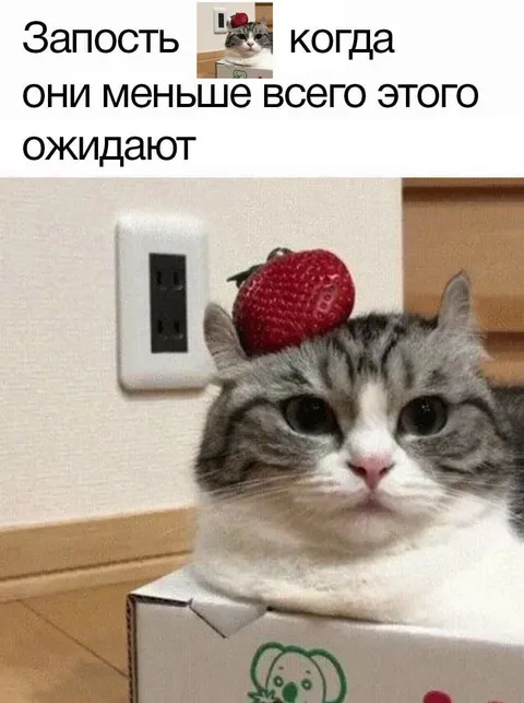 Запость, когда не ожидают