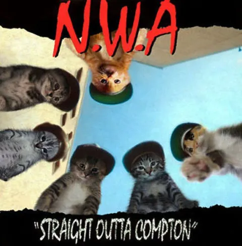 Котята из Комптона