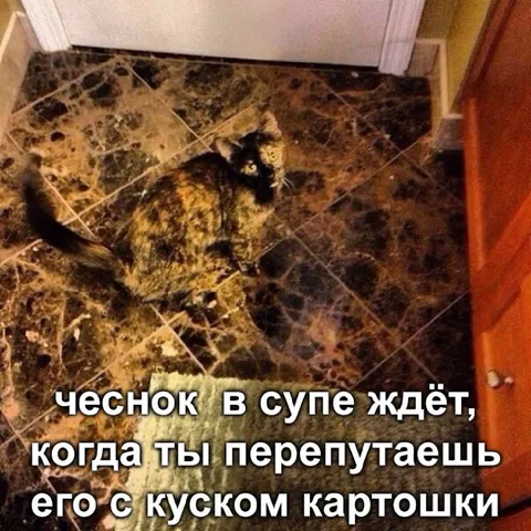 Чеснок перепутали с картошкой