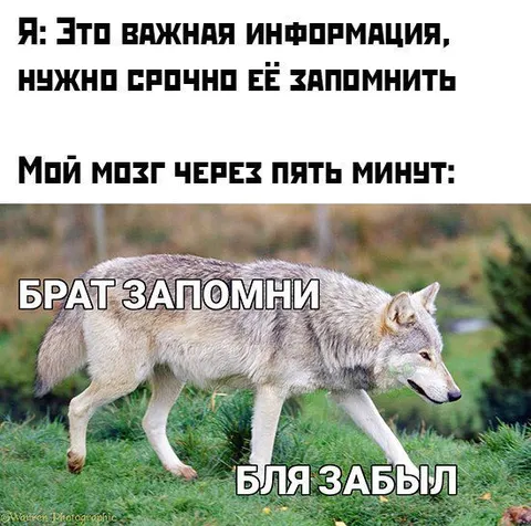 Брат запомни, бля забыл