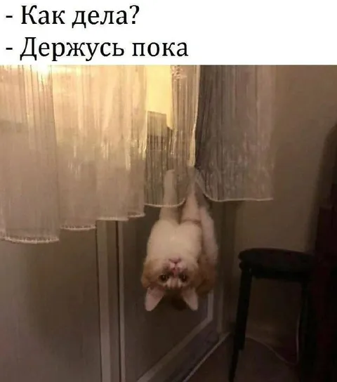 Держусь пока под занавеской