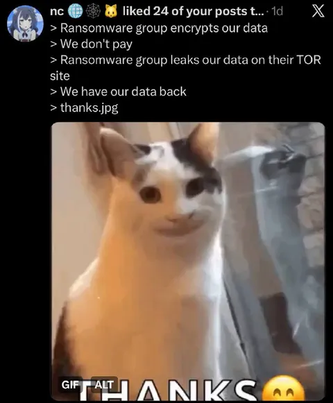 Ransomware Thanks Cat