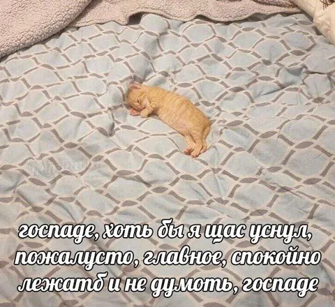Котёнок хочет уснуть