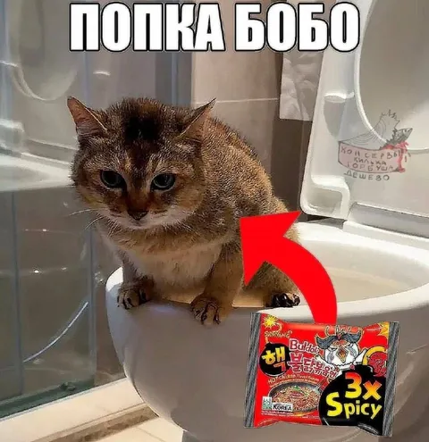 Попка Бобо и острый рамен