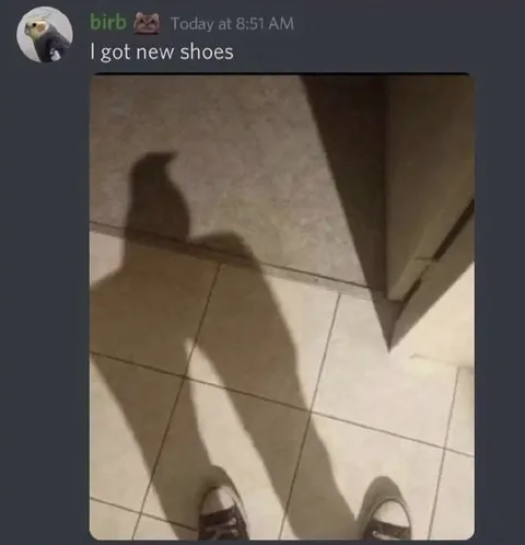 I Got New Shoes