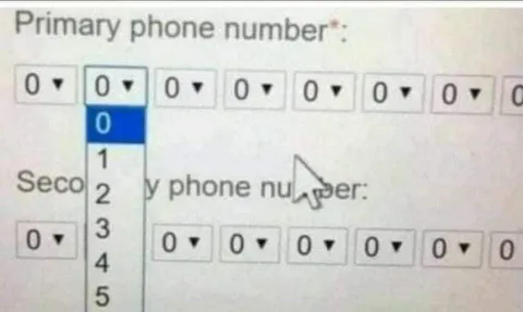 Phone Number Dropdown Struggle