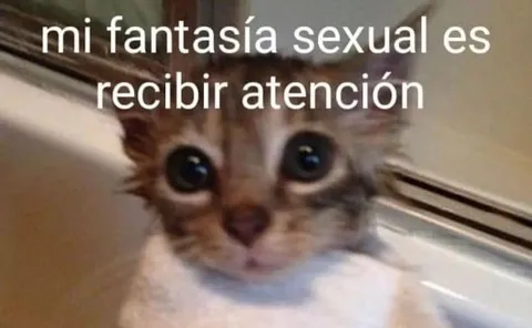 Mi fantasía sexual es recibir atención