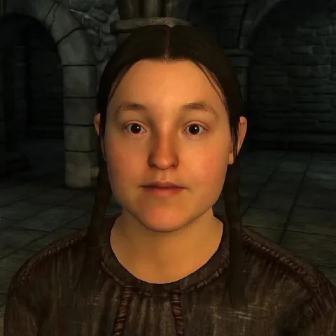 Неловкое лицо из Skyrim