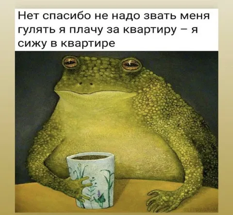 Плачу за квартиру и сижу дома