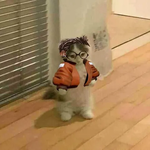 Кот-ботаник в очках