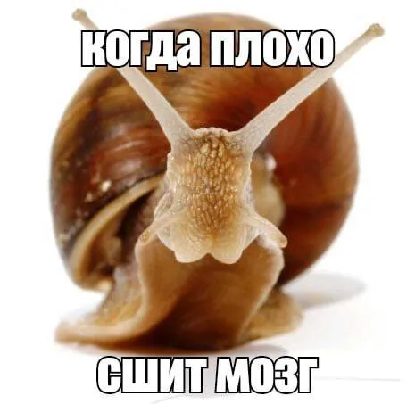 Когда плохо, щит мозг