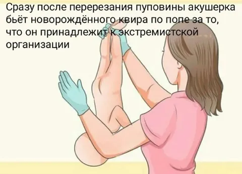 Акутерка бьёт квира по попе
