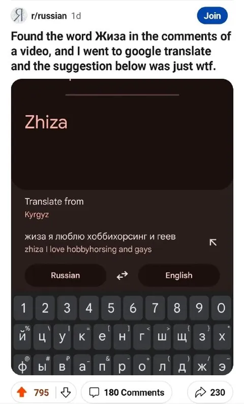 Google Translate Misreads Жиза