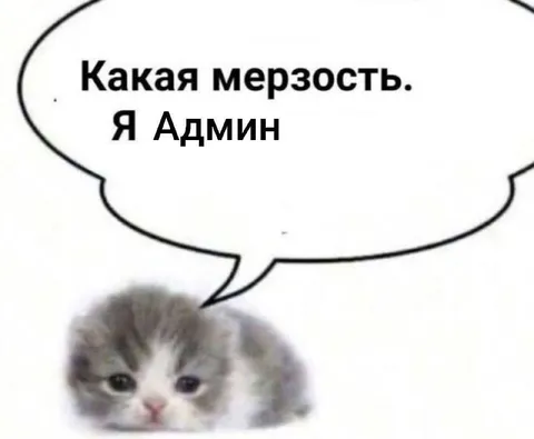 Котёнок-админ возмущается