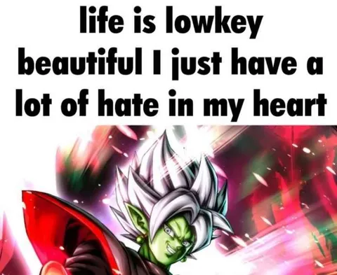 Beautiful Life Full of Hate