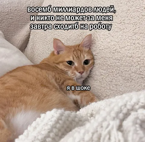 Восемь миллиардов людей и шок