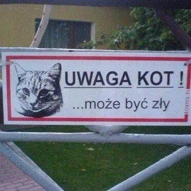 Uwaga, kot może być zły