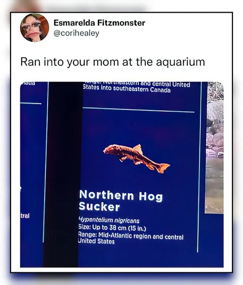 Ran Into Your Mom at the Aquarium