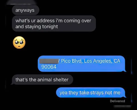 Animal Shelter Address Prank