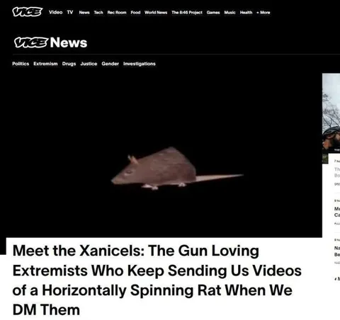 Horizontally Spinning Rat