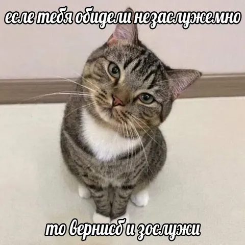 Вернись и заслужи обиду
