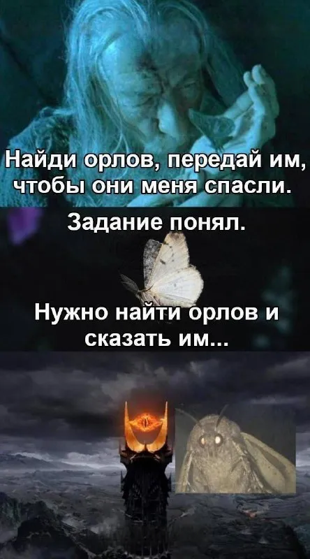 Найди орлов и передай им