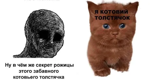 Секрет котового толстячка