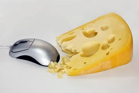 Компьютерная мышь ест сыр