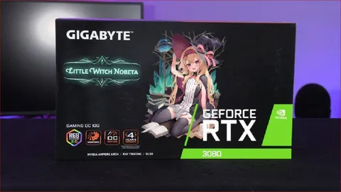 Gigabyte RTX 3080 Little Witch Nobeta