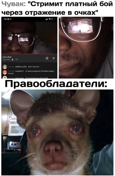 Правообладатели в слезах